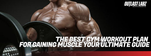 The Best Gym Workout Plan for Gaining Muscle: Your Ultimate Guide
