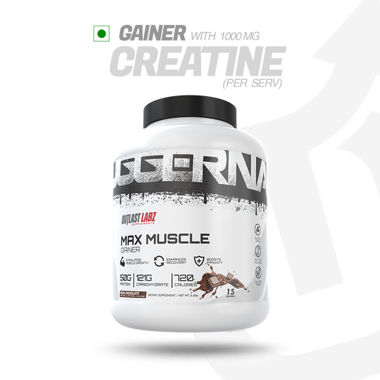 Max Muscle Gainer (Rich Chocolate)
