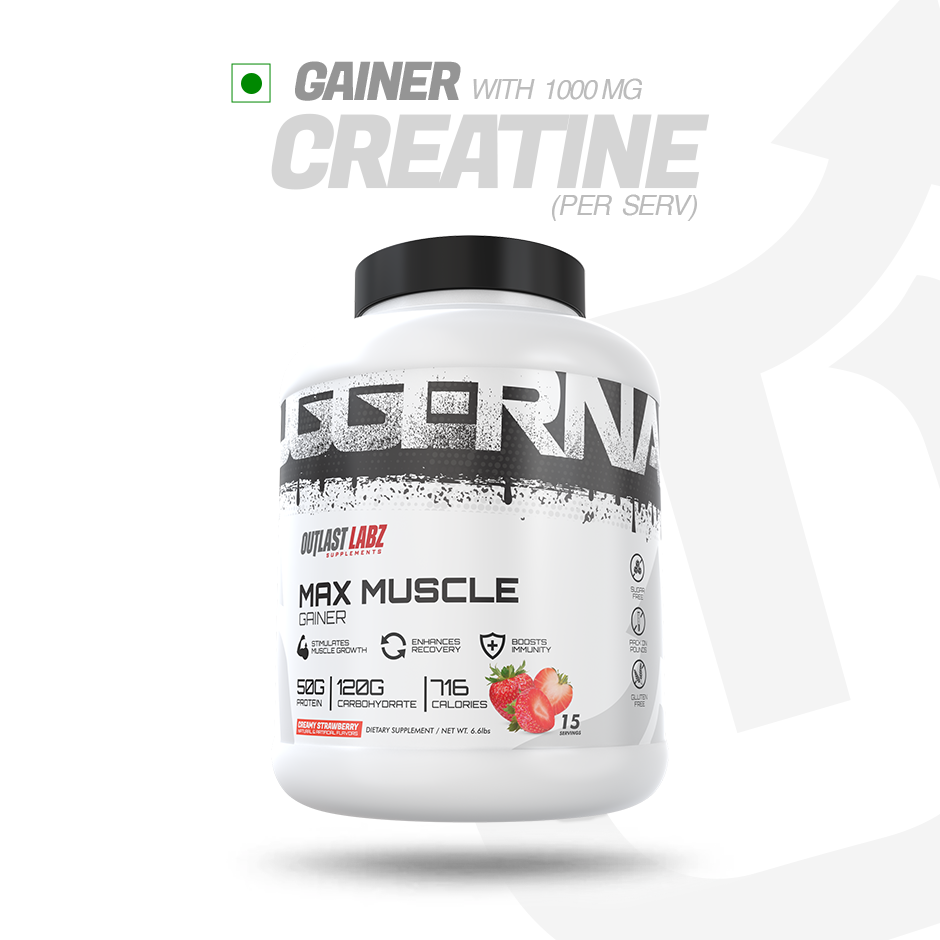 Max Muscle Gainer (Rich Chocolate) – outlastlabz